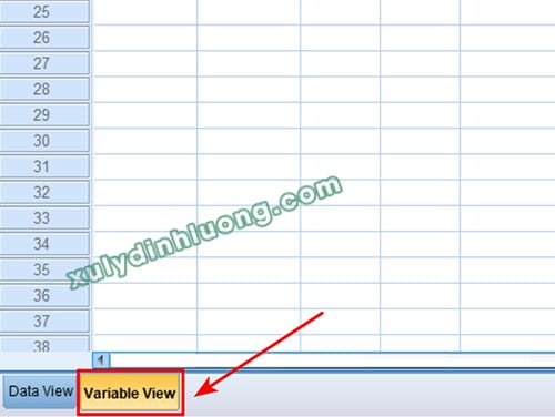 Các lỗi thường gặp khi dùng SPSS