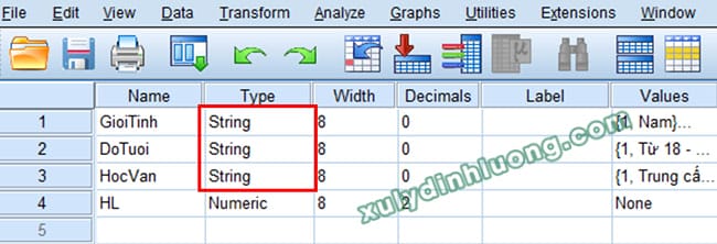 Các lỗi thường gặp khi dùng SPSS