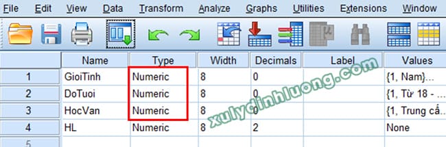 Các lỗi thường gặp khi dùng SPSS