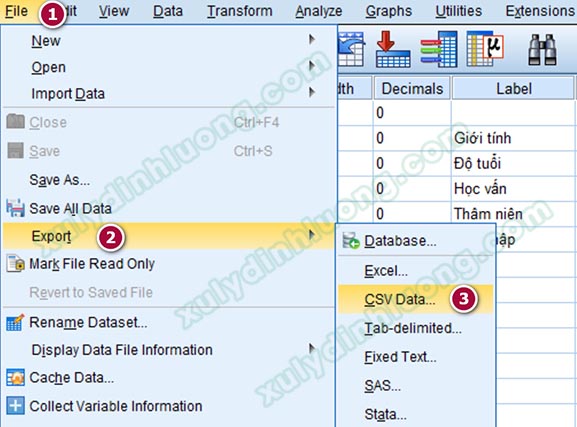 Tìm hiểu công cụ và cách chạy SmartPLS 3