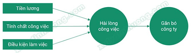 Tìm hiểu công cụ và cách chạy SmartPLS 3