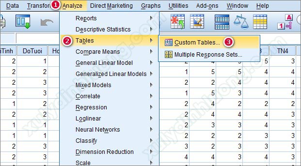 Chạy bảng kết hợp Custom Table trên SPSS