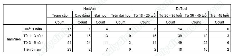 Chạy bảng kết hợp Custom Table trên SPSS