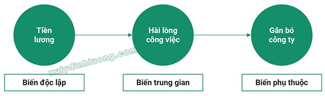 Phân tích EFA cho mô hình với biến trung gian và biến điều tiết