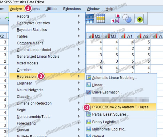 Xử lý biến điều tiết với Macro PROCESS (SPSS)
