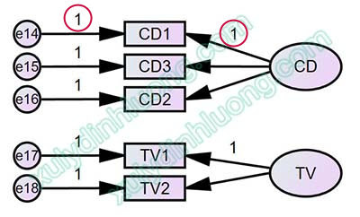 Khai báo hệ số ràng buộc (Constraint) trong AMOS