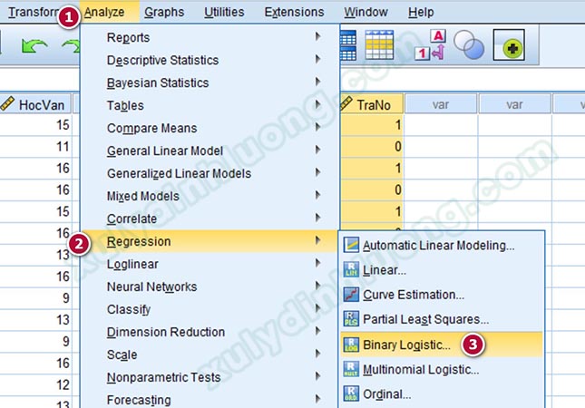 Phân tích hồi quy nhị phân Binary Logistic trên SPSS