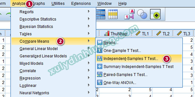 Kiểm định Independent Sample T Test trên SPSS