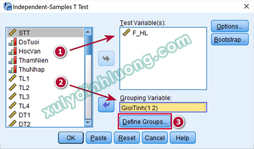 Kiểm định Independent Sample T Test trên SPSS