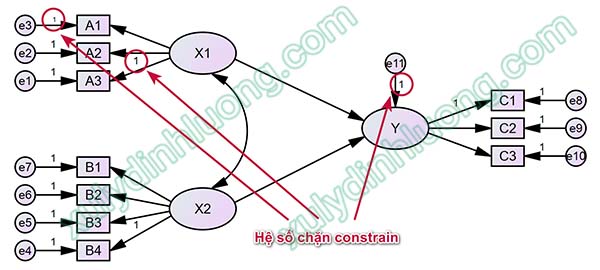 Khai báo hệ số ràng buộc (Constraint) trong AMOS