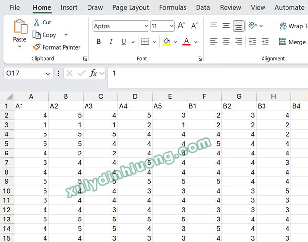 Lỗi SPSS, SMARTPLS không nhận dữ liệu từ Excel, Google Forms csv đầu vào