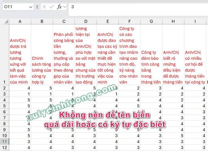 Lỗi SPSS, SMARTPLS không nhận dữ liệu từ Excel, Google Forms csv đầu vào