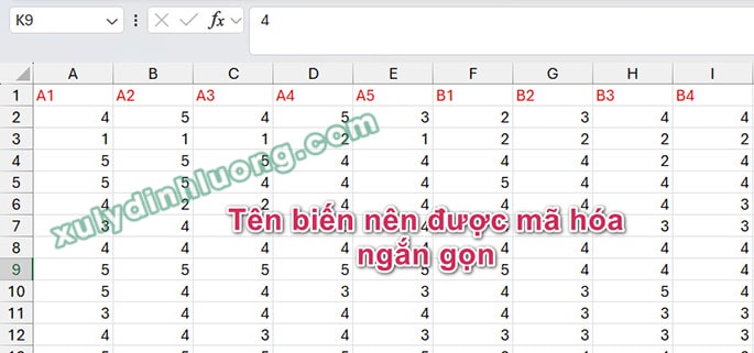 Lỗi SPSS, SMARTPLS không nhận dữ liệu từ Excel, Google Forms csv đầu vào