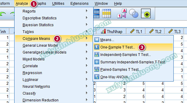 Kiểm định One-Sample T Test bằng SPSS