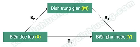Phân tích biến trung gian mediator với SMARTPLS 3