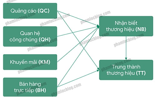 Cách chạy SmartPLS 4 đầy đủ và dễ hiểu dành cho người mới