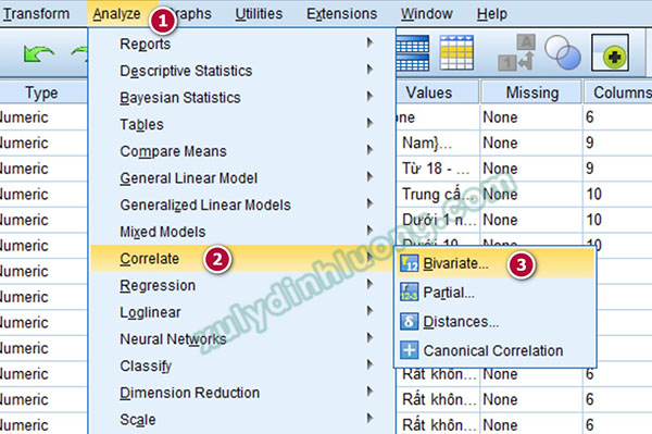 Phân tích tương quan Pearson bằng SPSS