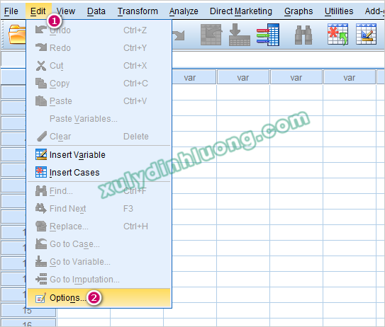Các lỗi thường gặp khi dùng SPSS